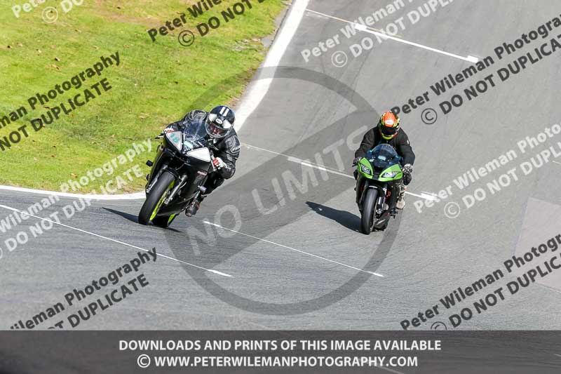 Oulton Park 20th March 2020;PJ Motorsport Photography 2020;anglesey;brands hatch;cadwell park;croft;donington park;enduro digital images;event digital images;eventdigitalimages;mallory;no limits;oulton park;peter wileman photography;racing digital images;silverstone;snetterton;trackday digital images;trackday photos;vmcc banbury run;welsh 2 day enduro